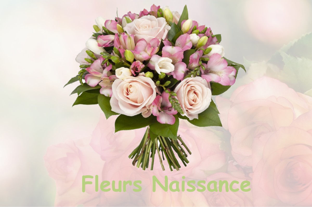 fleurs naissance MONESTIER-D-AMBEL