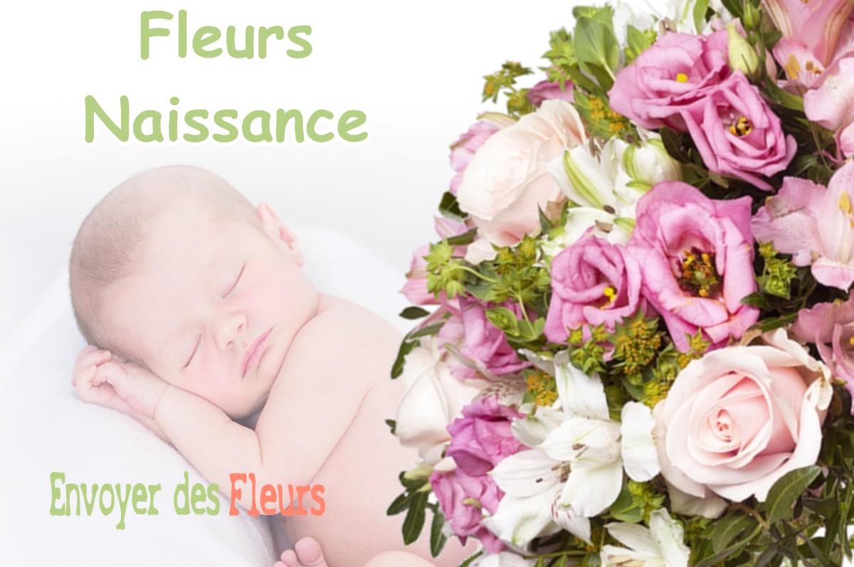 lIVRAISON FLEURS NAISSANCE à MONESTIER-D-AMBEL